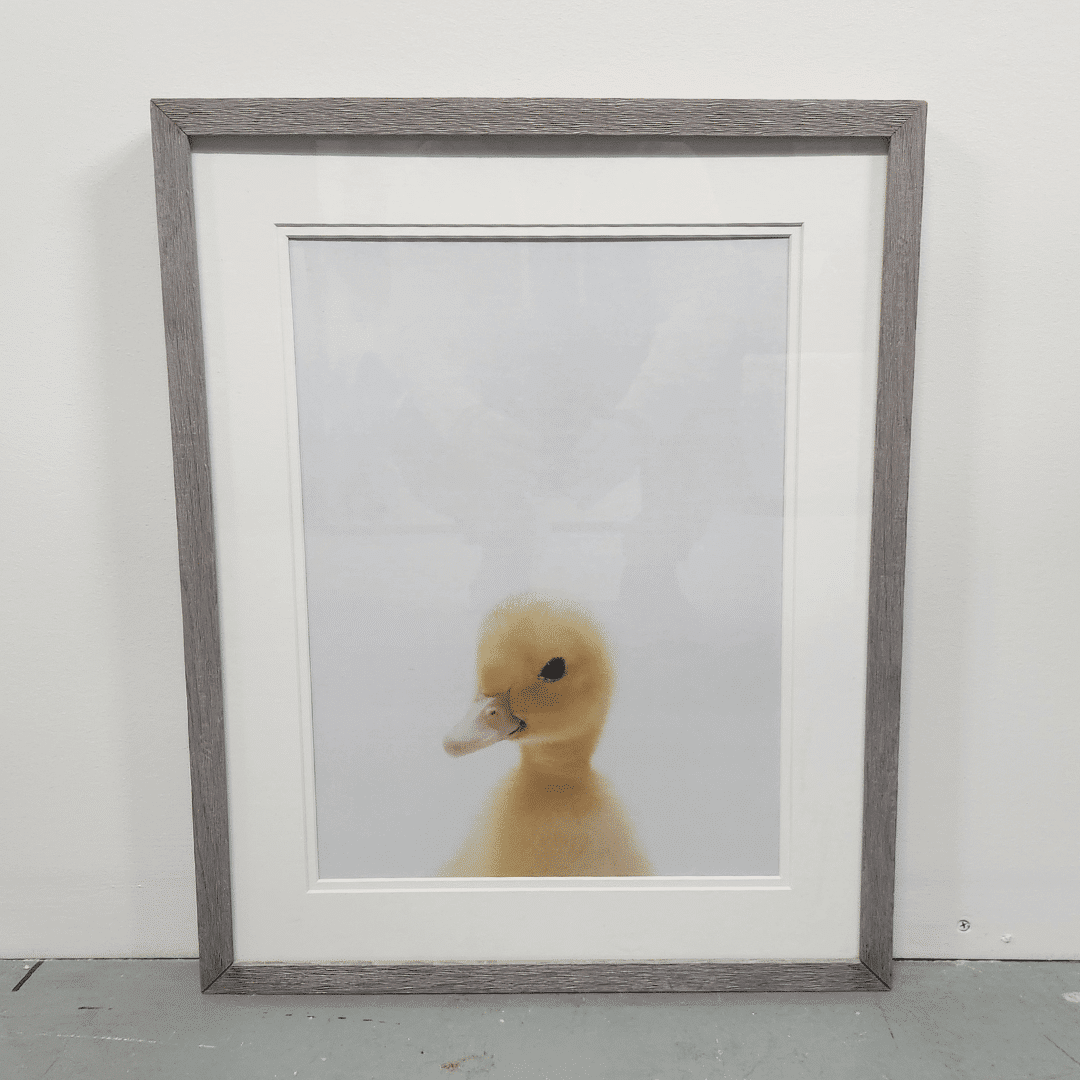 Art-Duck & Lamb (Clearance) - Image 3