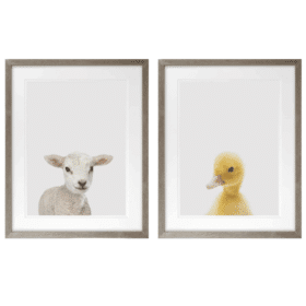 LambDuckDuoClearance