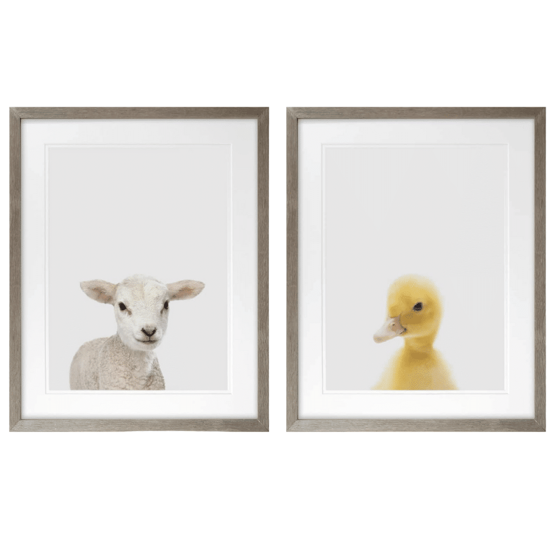 LambDuckDuoClearance