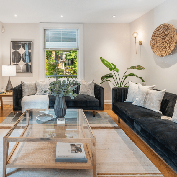 Elaine Raino Interiors - Elaine Raino